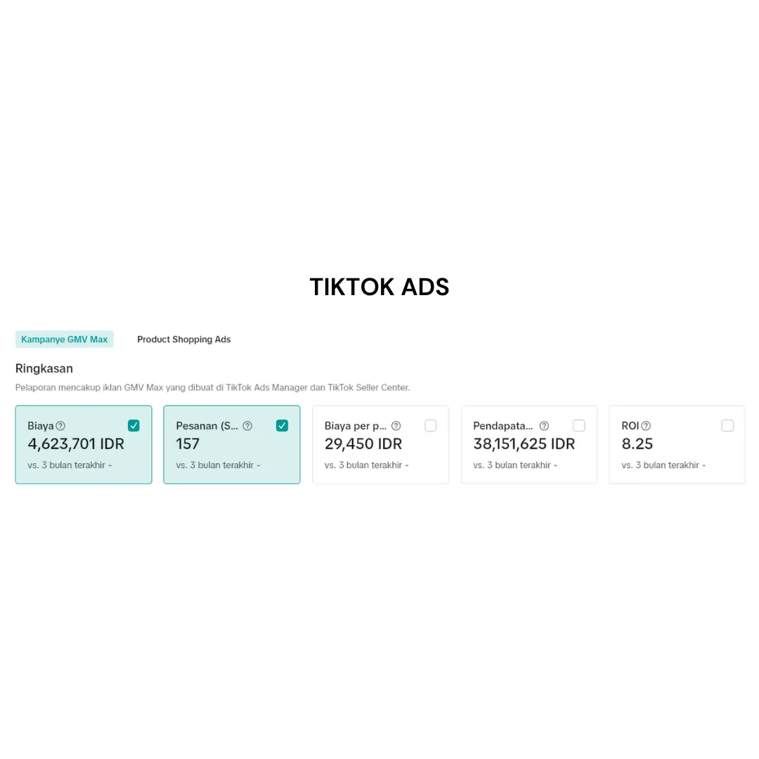 TikTok Ads 1